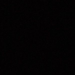 Meet your Posher, Daisy